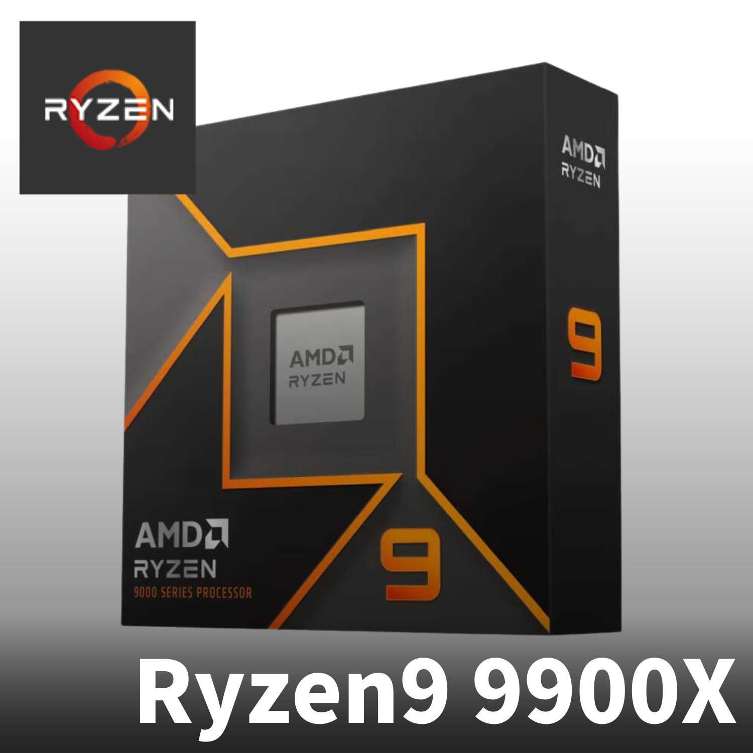 AMD Ryzen9 9900X